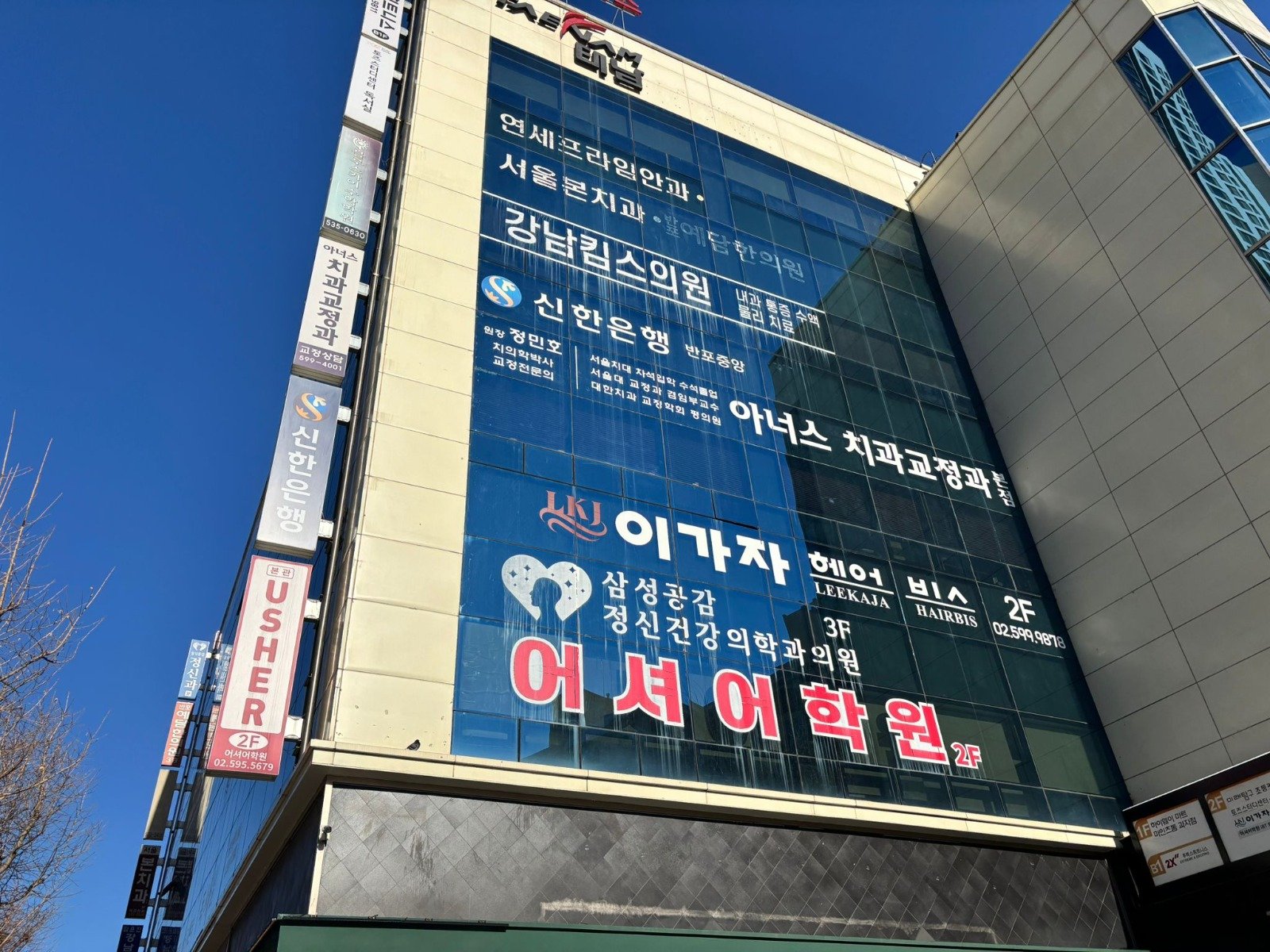 직장인 토플학원